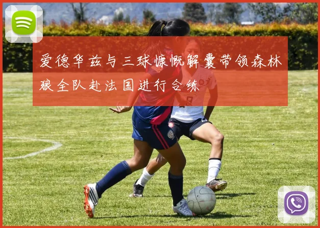 爱德华兹与三球慷慨解囊带领森林狼全队赴法国进行合练